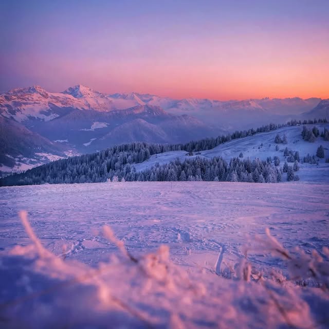  .........rancaises   'recent posts' 