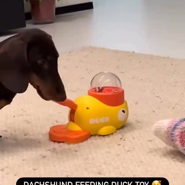  ..........fan.club_   'recent posts' 