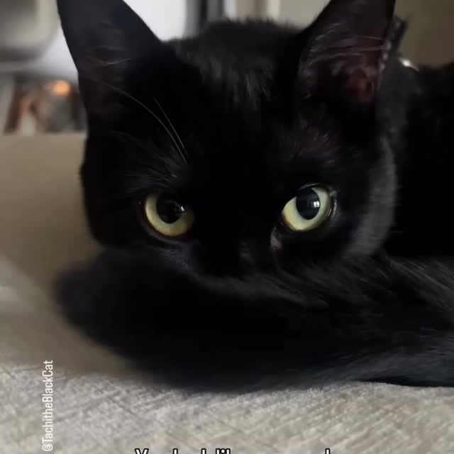  .......ats_club   'recent posts' 