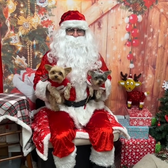  .....sland   'recent posts' 