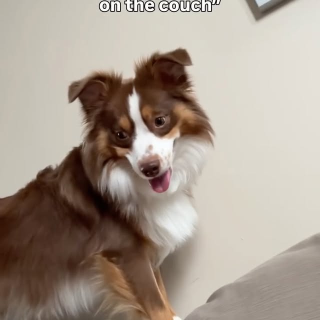  ..ps   'recent posts' 