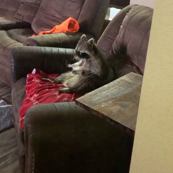  ....onnei   'recent posts' 