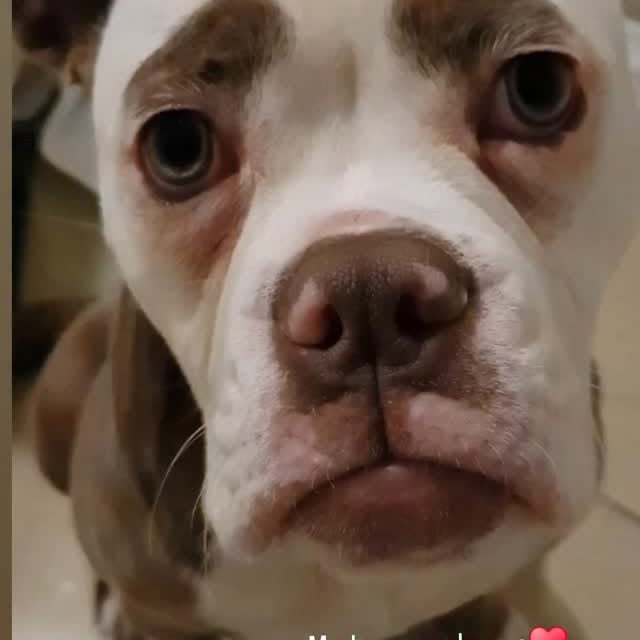  .......eyebrows   'recent posts' 