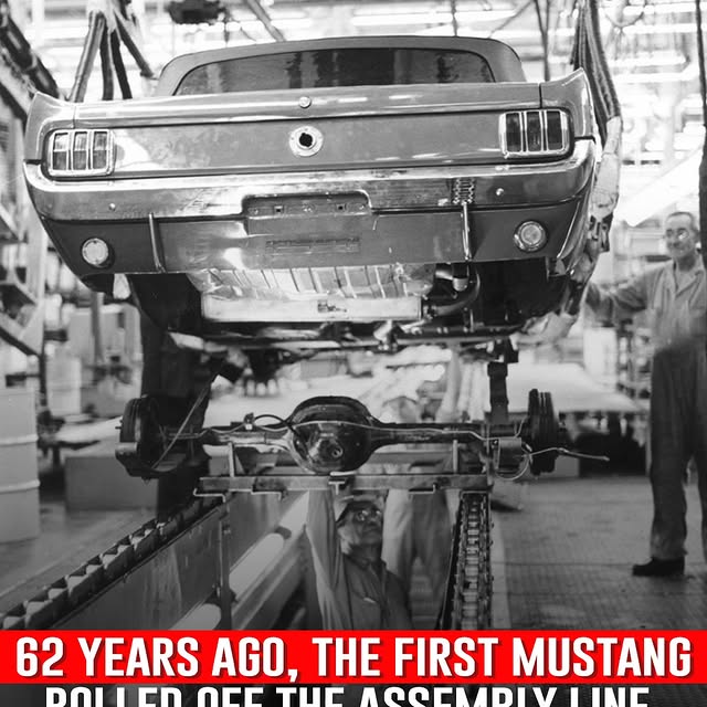  .......fanclub   'recent posts' 