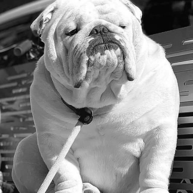  ......rwhite   'recent posts' 