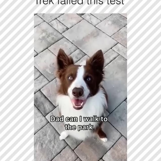  ......rposts   'recent posts' 