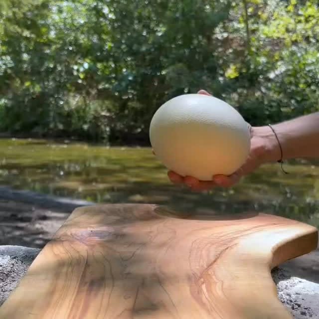  ......zafar   'recent posts' 