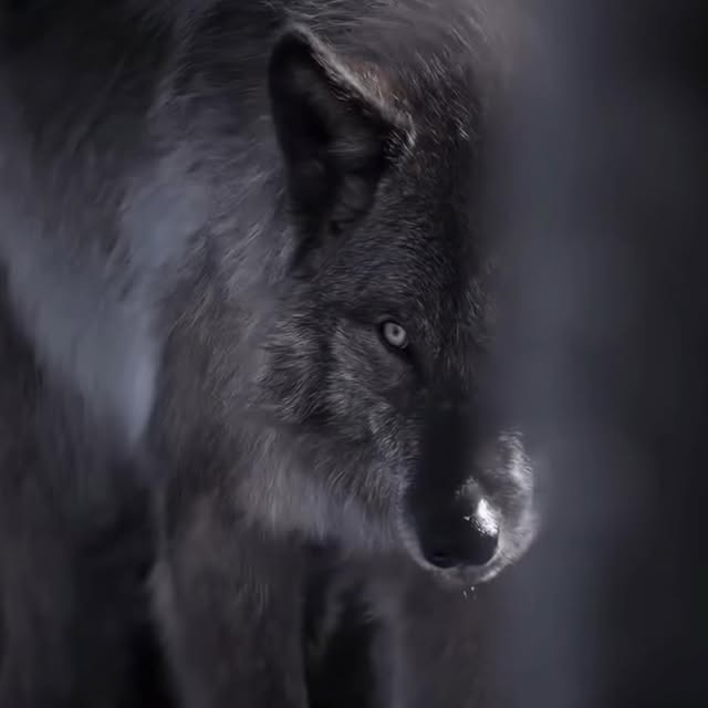  ......fehood   'recent posts' 