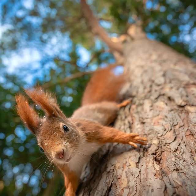  ......entpix   'recent posts' 