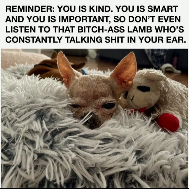  .......ndrulzz   'recent posts' 