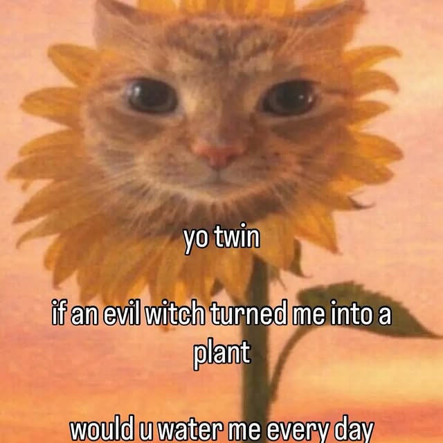  .....attos   'recent posts' 