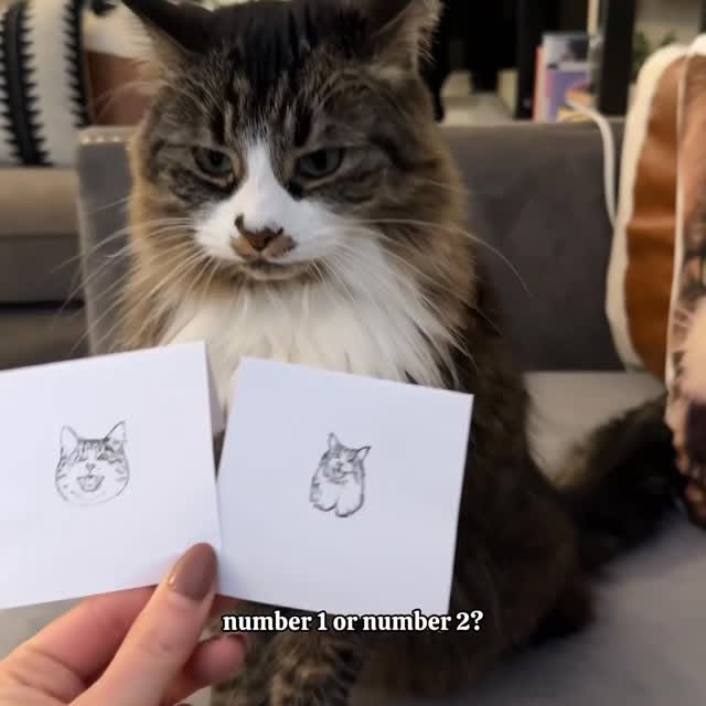  ......kekkek   'recent posts' 