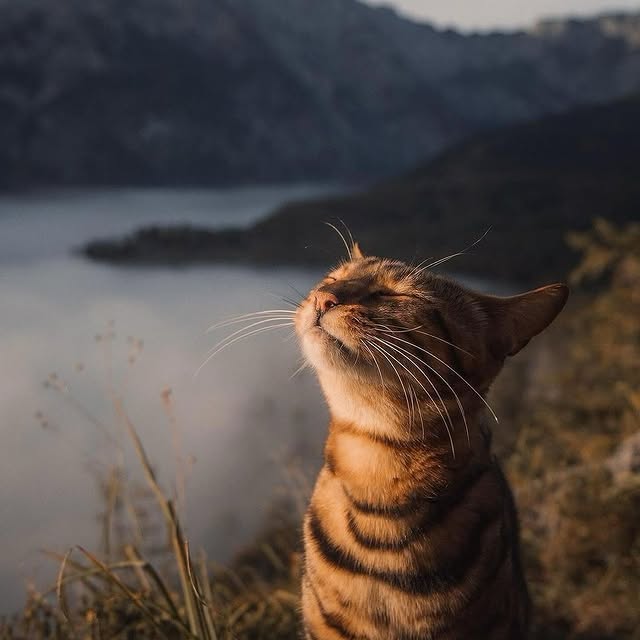  .......refervor   'recent posts' 