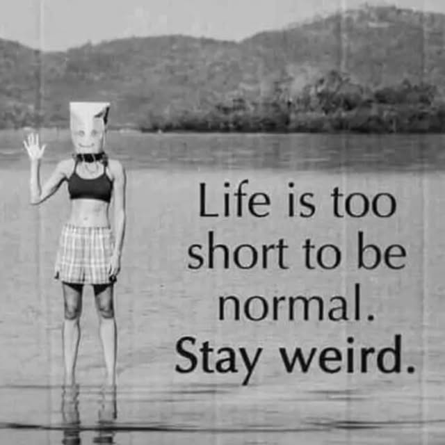  ........s_a_laugh   'recent posts' 