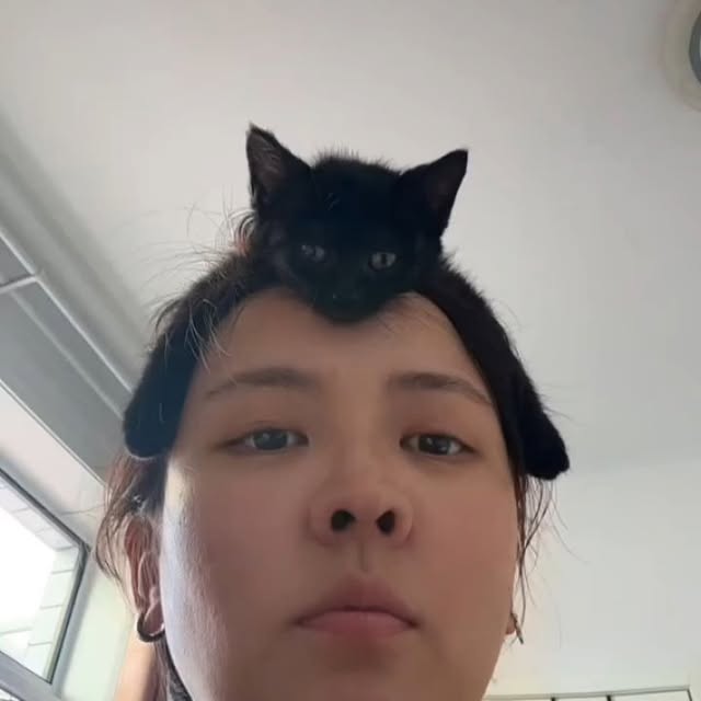  .......ats_club   'recent posts' 