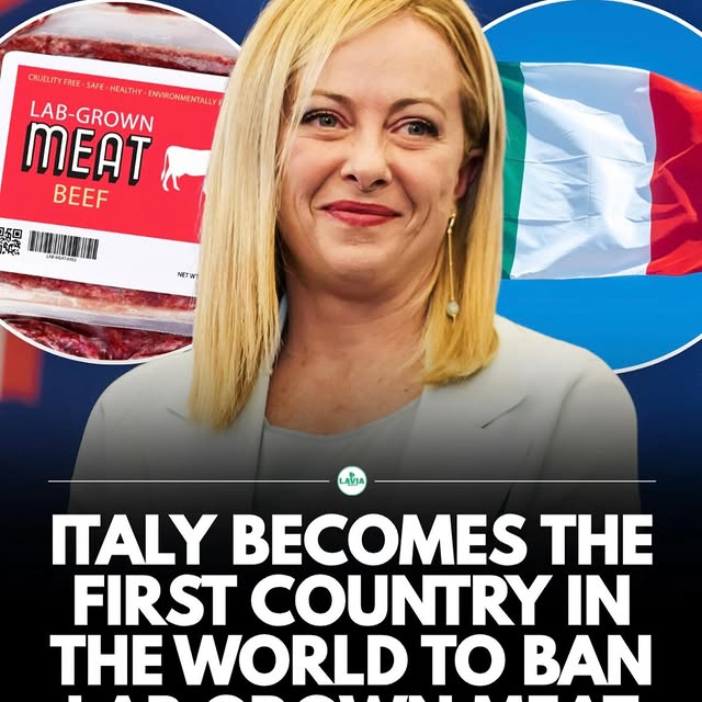  .....lvibee   'recent posts' 