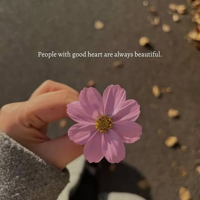  ......nlives   'recent posts' 