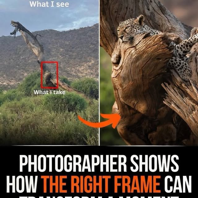  ......sfervor   'recent posts' 