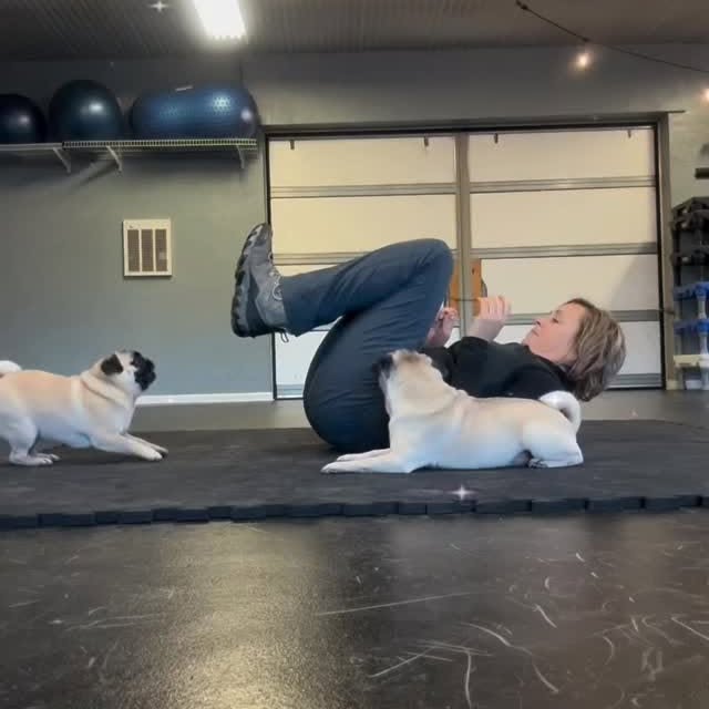  .....of.pug   'recent posts' 