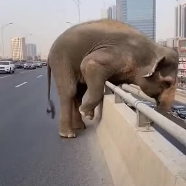  .....nly.ai   'recent posts' 