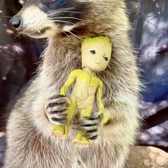  ....onnei   'recent posts' 