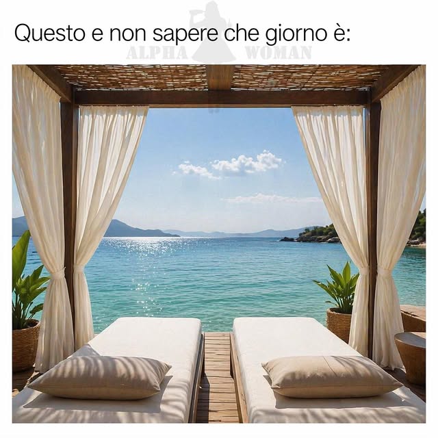  ..........n_official   'recent posts' 