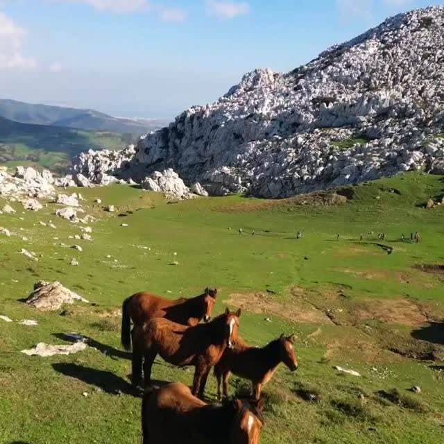  .....ature   'recent posts' 