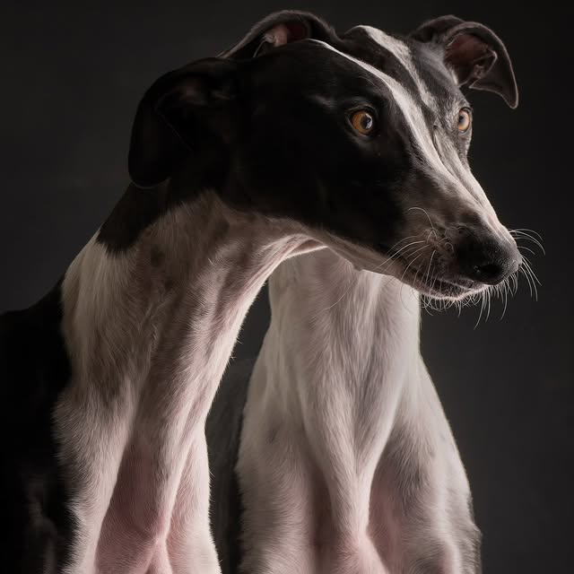  ..........hotography   'recent posts' 