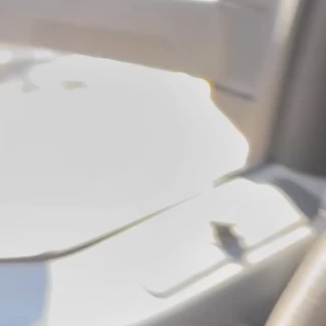  ..........s.official   'recent posts' 