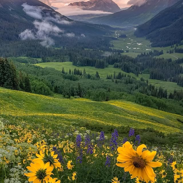  .........dventures   'recent posts' 