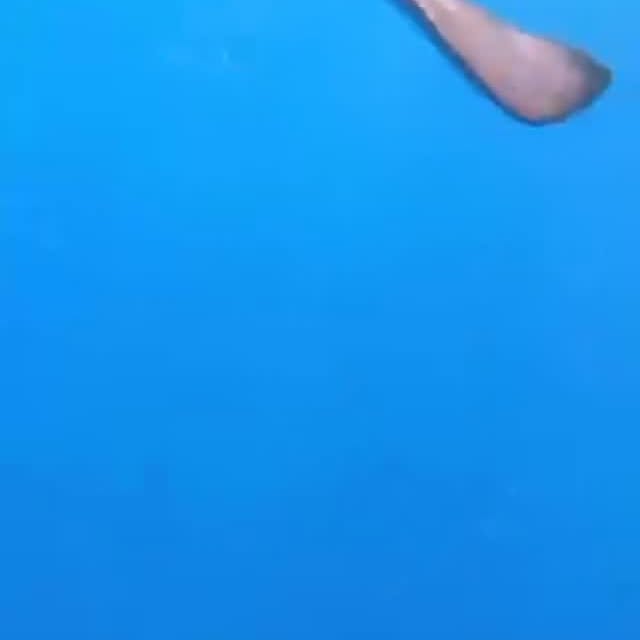  .........arkattacks   'recent posts' 