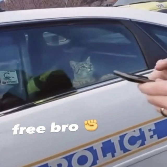  .....attos   'recent posts' 