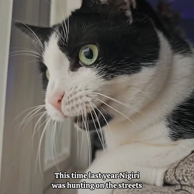  ......kekkek   'recent posts' 