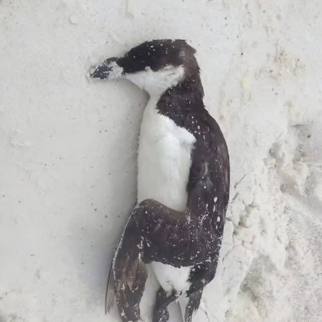  ........on0to100   'recent posts' 