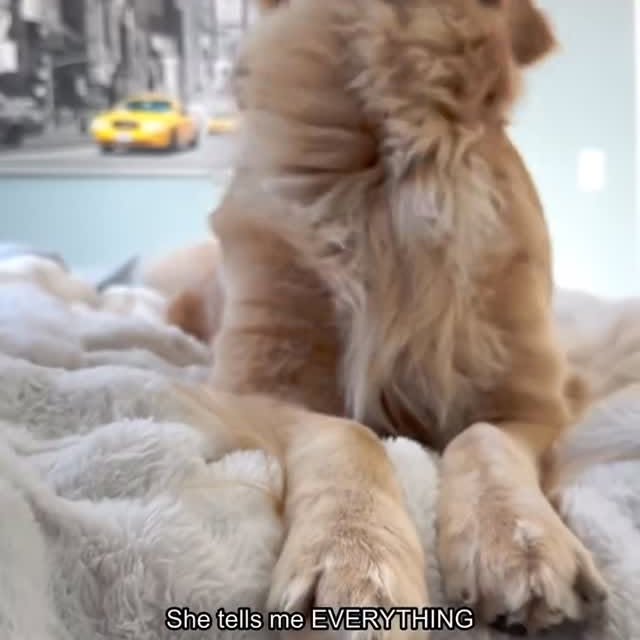  ......estige   'recent posts' 