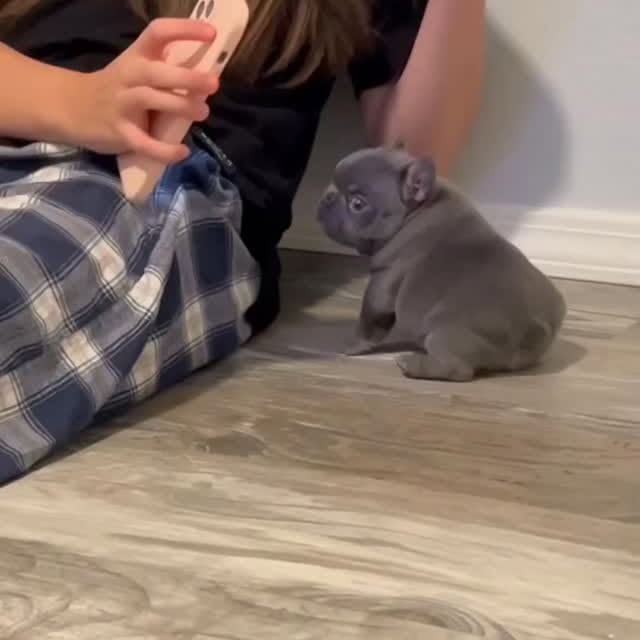  ..........ldogs_only   'recent posts' 