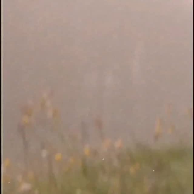  .....scine   'recent posts' 