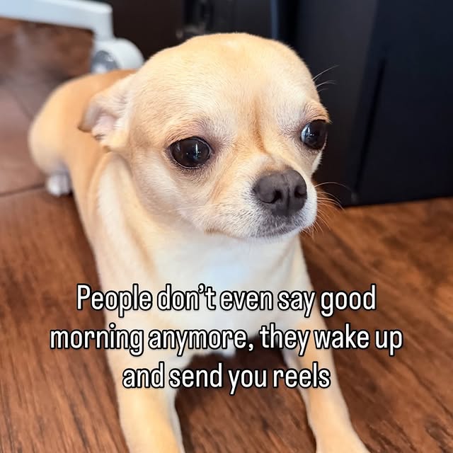  ........ucketlist   'recent posts' 