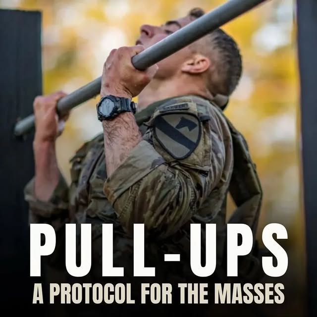  ......thenics   'recent posts' 