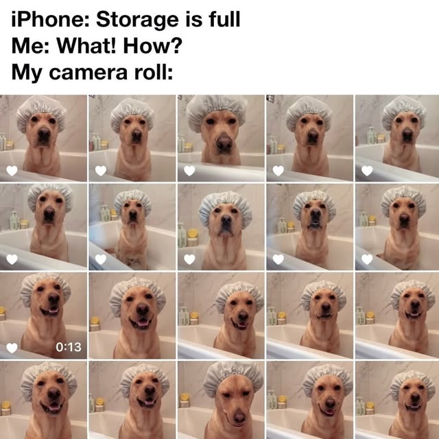  .......ndrulzz   'recent posts' 