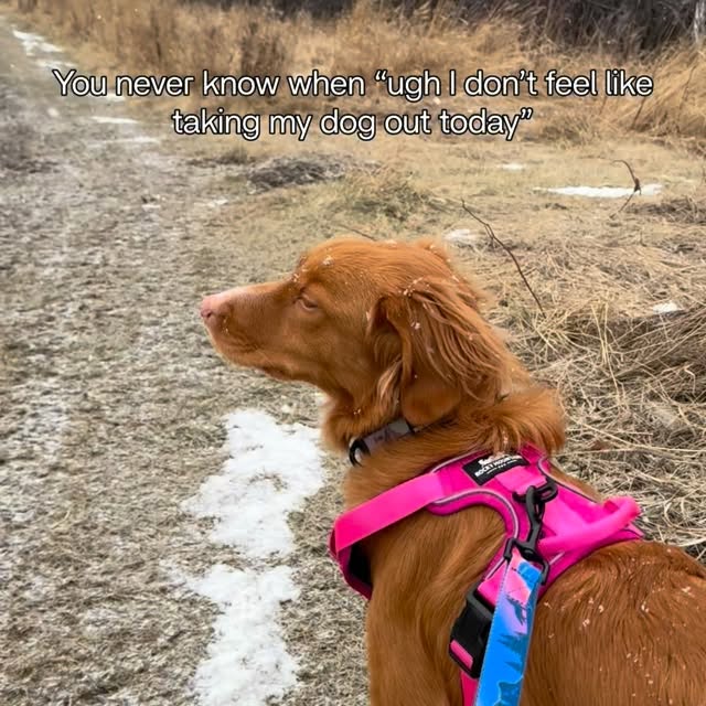  ......atoller   'recent posts' 