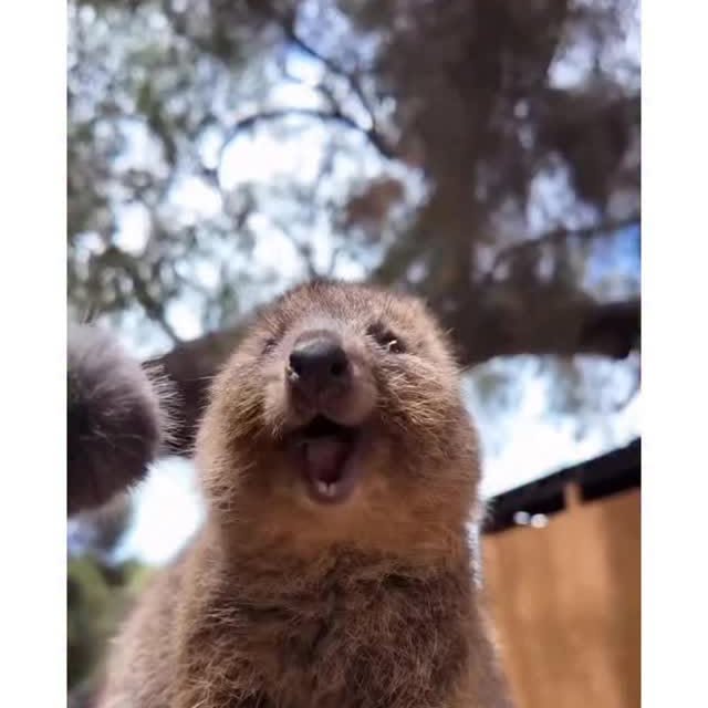  ..obe   'recent posts' 