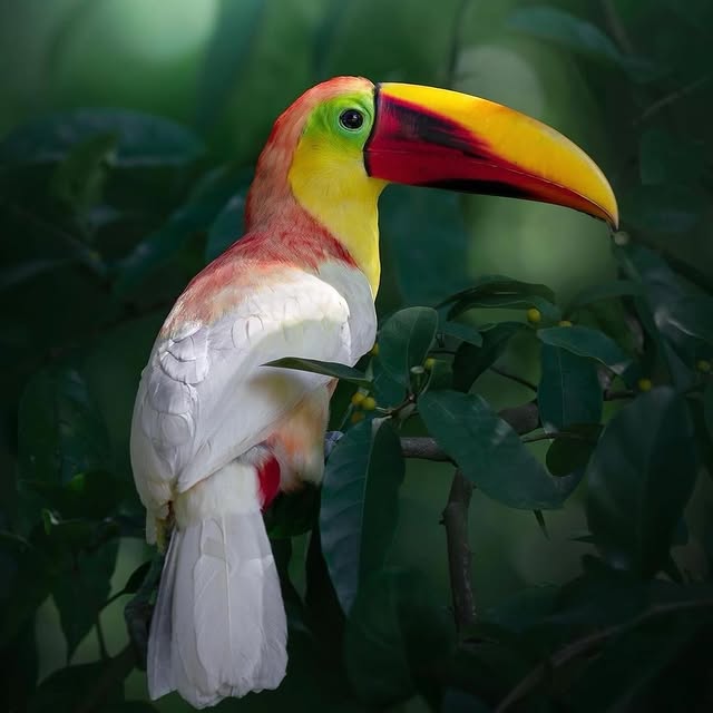  ......fervor   'recent posts' 