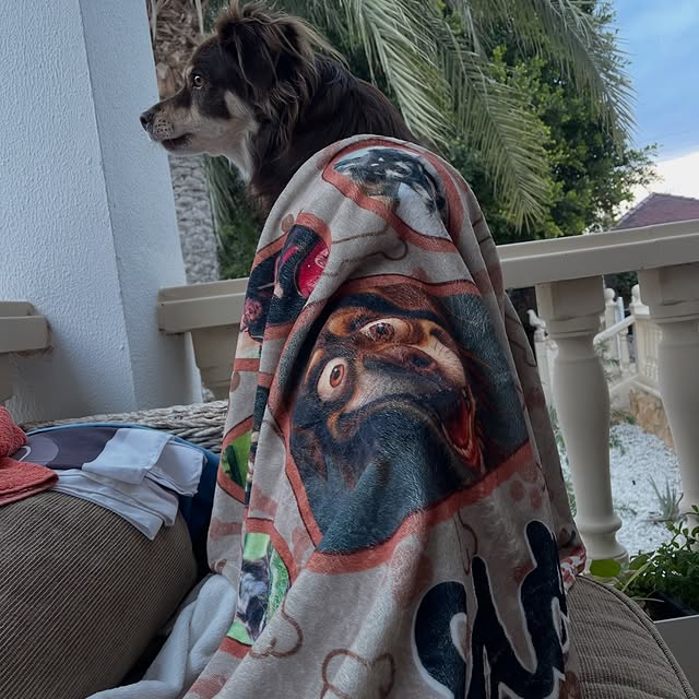  .....og2020   'recent posts' 