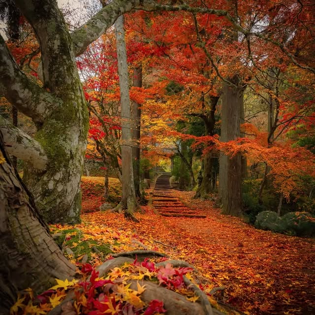  ........vacations   'recent posts' 