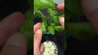  .....Stars  'recent videos' 