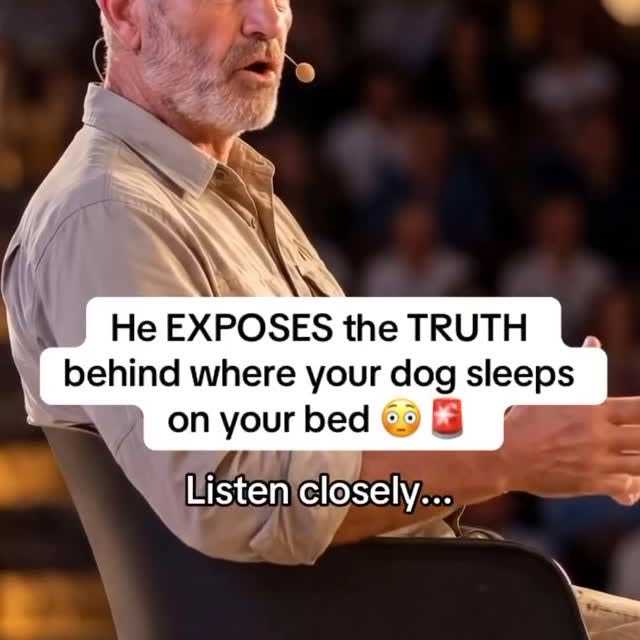  ..........n.retriever   'recent posts' 