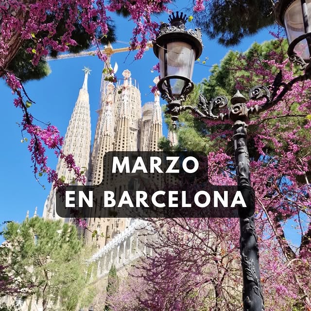  ........._barcelona   'recent posts' 