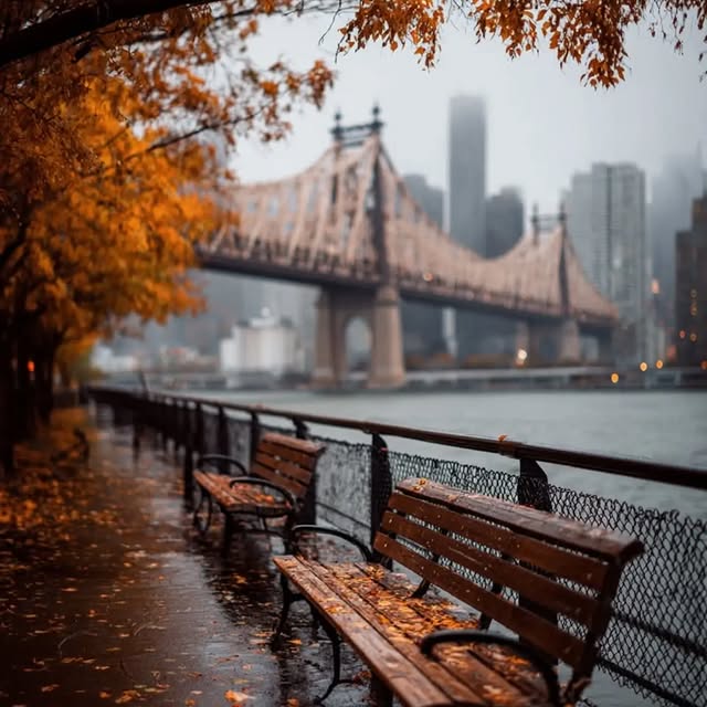  .......urney_d   'recent posts' 