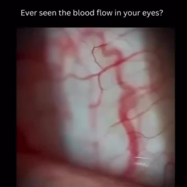  ......seviewz   'recent posts' 